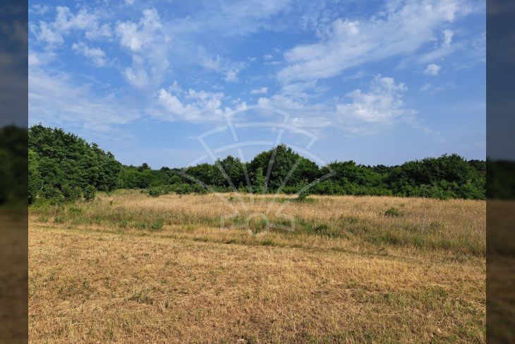 Poljoprivredno zemljište, Prodaja, Poreč, Montižana Poljoprivredno zemljište, Prodaja, Poreč, Montižana