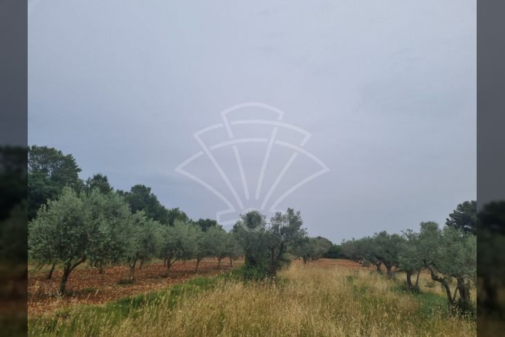 Građevinsko stambeno zemljište, Prodaja, Vodnjan, Galižana Građevinsko stambeno zemljište, Prodaja, Vodnjan, Galižana