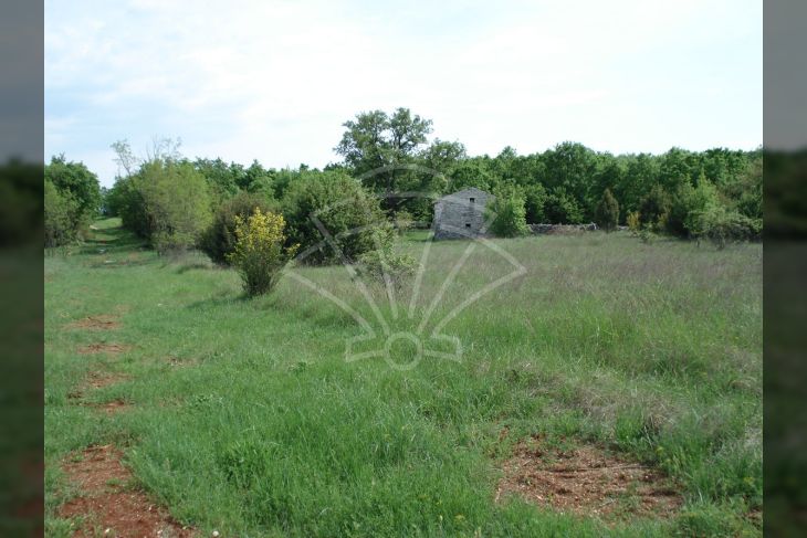 Građevinsko, Prodaja, Kanfanar, Šorići Građevinsko, Prodaja, Kanfanar, Šorići