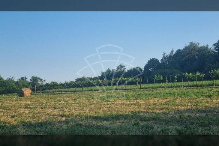 Šuma, Prodaja, Barban, Melnica Šuma, Prodaja, Barban, Melnica