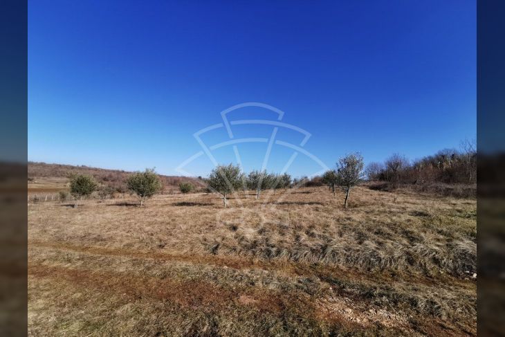 Zemljište - ostalo, Prodaja, Višnjan, Markovac Zemljište - ostalo, Prodaja, Višnjan, Markovac