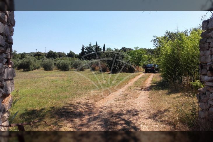 Šuma, Prodaja, Rovinj, Rovinj Šuma, Prodaja, Rovinj, Rovinj