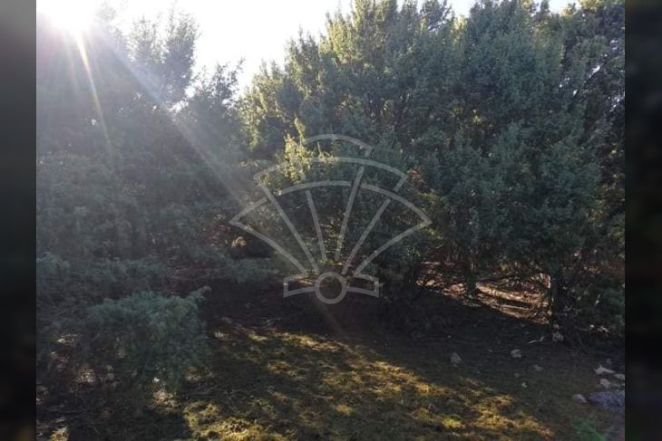 Poljoprivredno zemljište, Prodaja, Krk, Krk Poljoprivredno zemljište, Prodaja, Krk, Krk