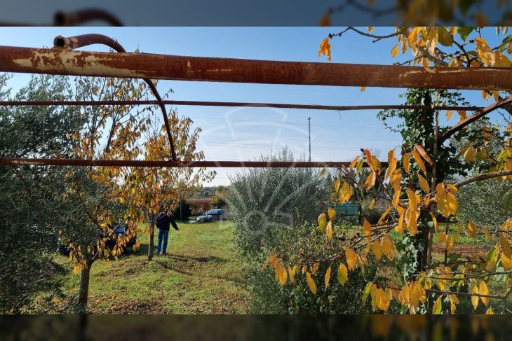 Poljoprivredno zemljište, Prodaja, Pula, Pula Poljoprivredno zemljište, Prodaja, Pula, Pula