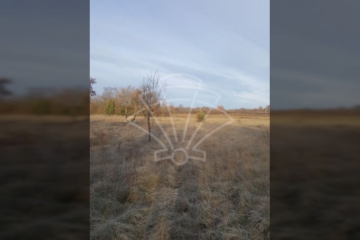 Poljoprivredno zemljište, Prodaja, Barban, Barban Poljoprivredno zemljište, Prodaja, Barban, Barban