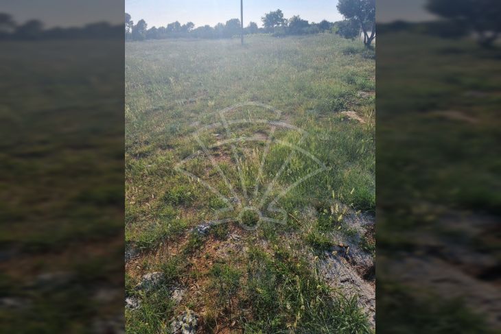 Građevinsko zemljište, Prodaja, Vodnjan, Vodnjan Građevinsko zemljište, Prodaja, Vodnjan, Vodnjan