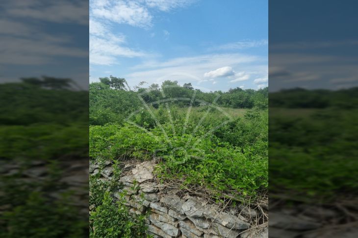 Građevinsko zemljište, Prodaja, Marčana, Filipana Građevinsko zemljište, Prodaja, Marčana, Filipana