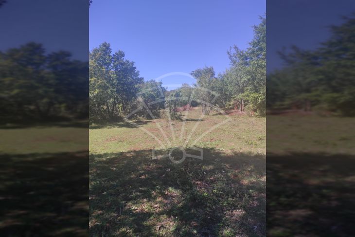 Poljoprivredno zemljište, Prodaja, Vodnjan, Vodnjan Poljoprivredno zemljište, Prodaja, Vodnjan, Vodnjan