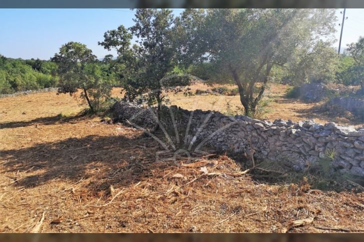 Građevinsko stambeno zemljište, Prodaja, Marčana, Rakalj Građevinsko stambeno zemljište, Prodaja, Marčana, Rakalj