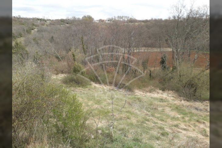 Građevinsko zemljište, Prodaja, Svetvinčenat, Bibići Građevinsko zemljište, Prodaja, Svetvinčenat, Bibići