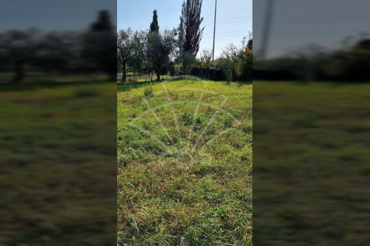 Poljoprivredno zemljište, Prodaja, Pula, Pula Poljoprivredno zemljište, Prodaja, Pula, Pula