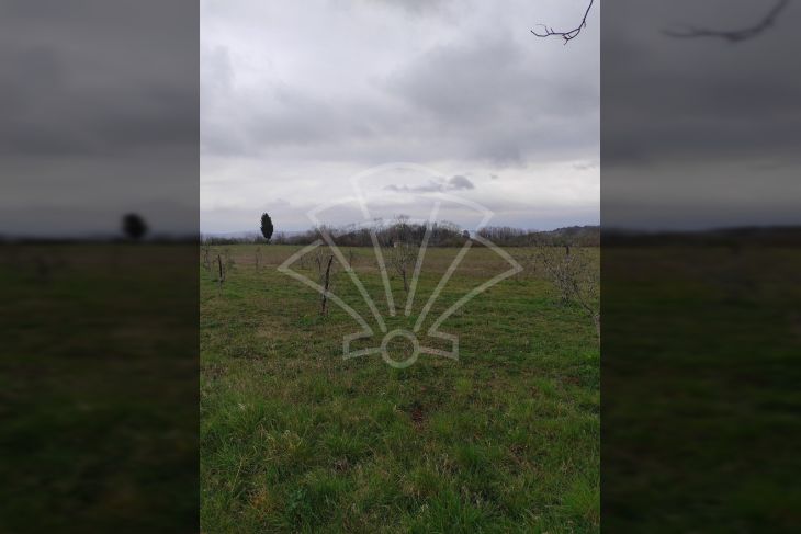 Poljoprivredno zemljište, Prodaja, Barban, Barban Poljoprivredno zemljište, Prodaja, Barban, Barban