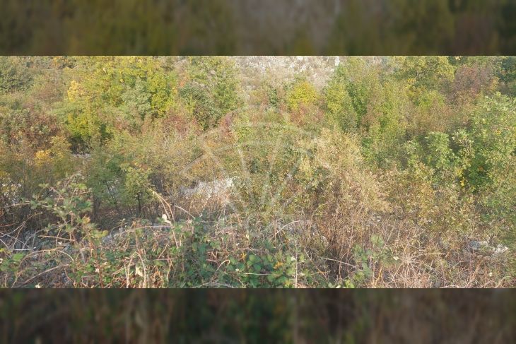 Građevinsko zemljište, Prodaja, Kršan, Plomin Građevinsko zemljište, Prodaja, Kršan, Plomin
