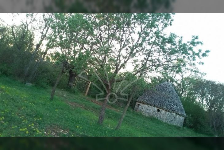 Poljoprivredno zemljište, Prodaja, Kanfanar, Šorići Poljoprivredno zemljište, Prodaja, Kanfanar, Šorići