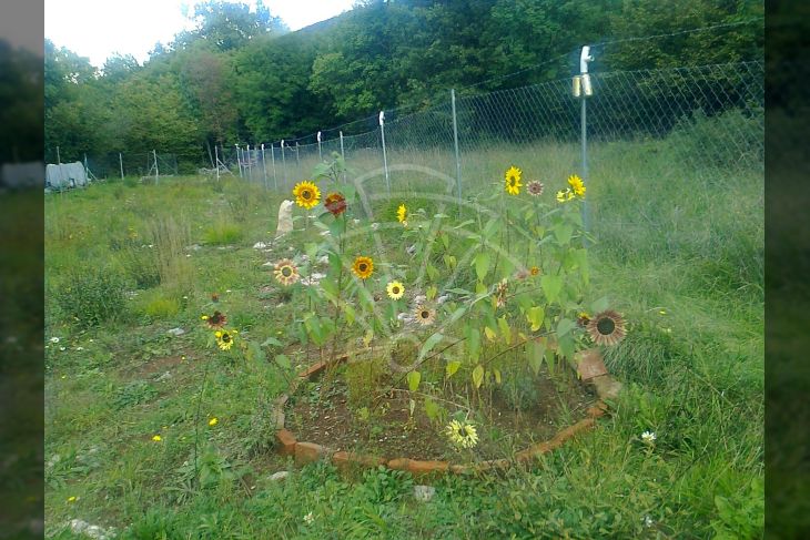 Poljoprivredno zemljište, Prodaja, Matulji, Lipa Poljoprivredno zemljište, Prodaja, Matulji, Lipa