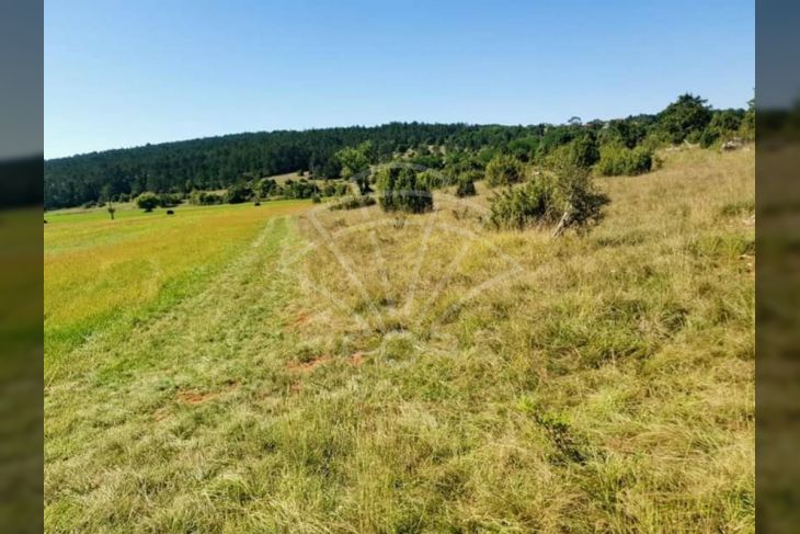 Poljoprivredno zemljište, Prodaja, Grožnjan, Završje Poljoprivredno zemljište, Prodaja, Grožnjan, Završje