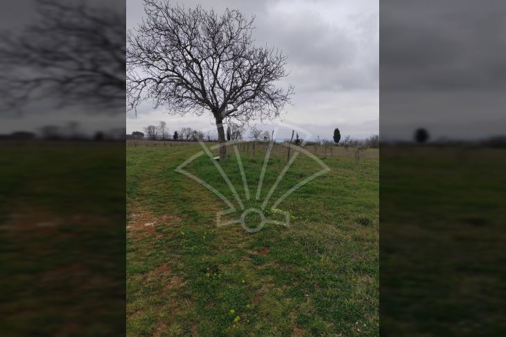 Poljoprivredno zemljište, Prodaja, Barban, Barban Poljoprivredno zemljište, Prodaja, Barban, Barban