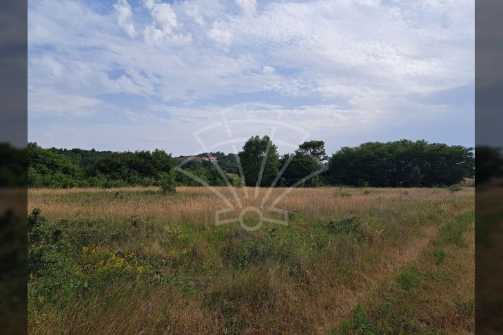 Poljoprivredno zemljište, Prodaja, Poreč, Montižana Poljoprivredno zemljište, Prodaja, Poreč, Montižana