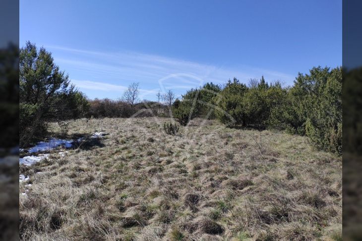 Poljoprivredno zemljište, Prodaja, Svetvinčenat, Bibići Poljoprivredno zemljište, Prodaja, Svetvinčenat, Bibići