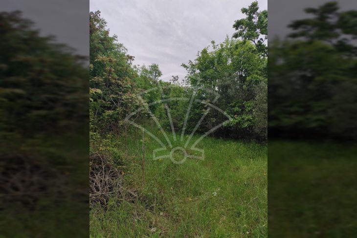 Građevinsko zemljište, Prodaja, Marčana, Rakalj Građevinsko zemljište, Prodaja, Marčana, Rakalj