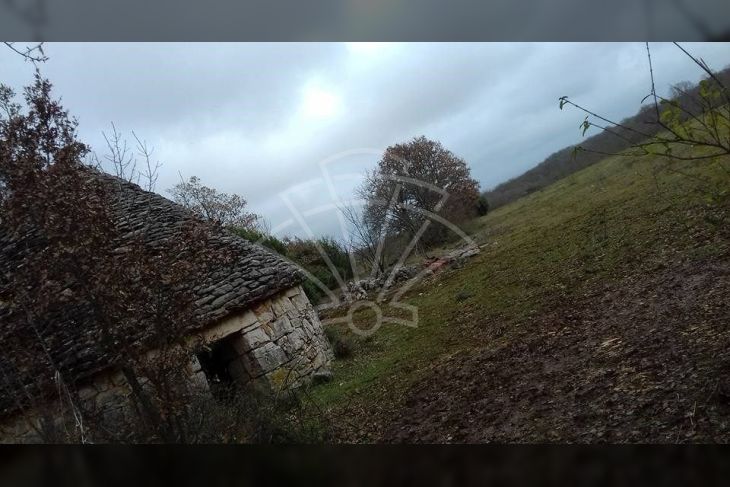 Poljoprivredno zemljište, Prodaja, Kanfanar, Šorići Poljoprivredno zemljište, Prodaja, Kanfanar, Šorići