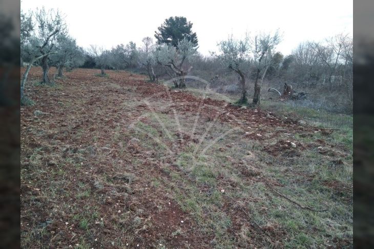 Građevinsko stambeno zemljište, Prodaja, Vodnjan, Galižana Građevinsko stambeno zemljište, Prodaja, Vodnjan, Galižana