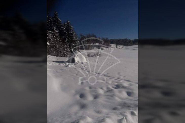 Poljoprivredno zemljište, Prodaja, Čabar, Tršće Poljoprivredno zemljište, Prodaja, Čabar, Tršće