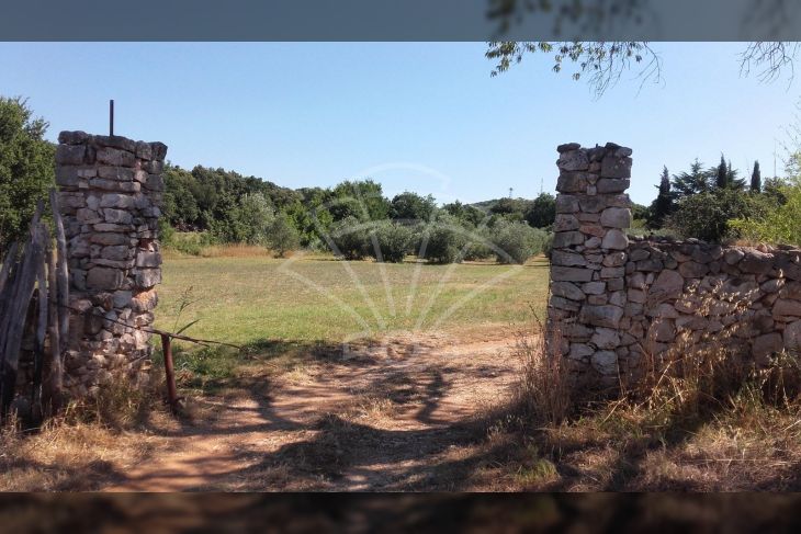 Šuma, Prodaja, Rovinj, Rovinj Šuma, Prodaja, Rovinj, Rovinj