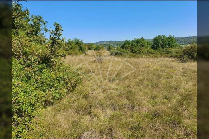 Poljoprivredno zemljište, Prodaja, Grožnjan, Završje Poljoprivredno zemljište, Prodaja, Grožnjan, Završje