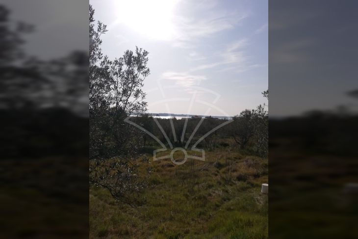 Poljoprivredno zemljište, Prodaja, Fažana, Fažana Poljoprivredno zemljište, Prodaja, Fažana, Fažana