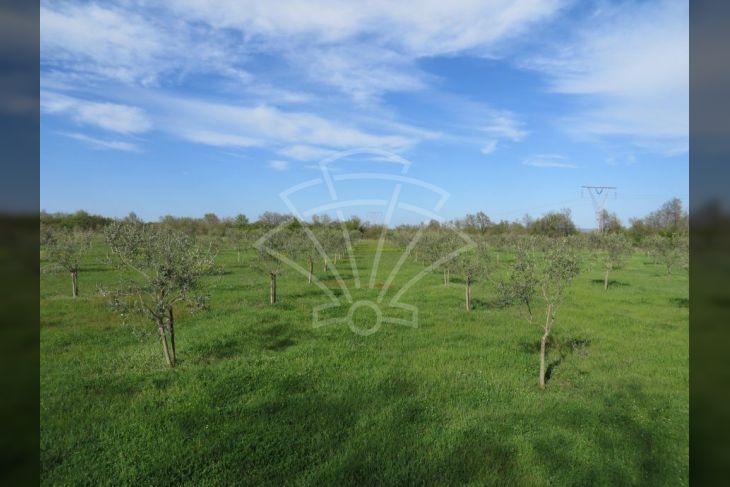 Zemljište - ostalo, Prodaja, Marčana, Marčana Zemljište - ostalo, Prodaja, Marčana, Marčana
