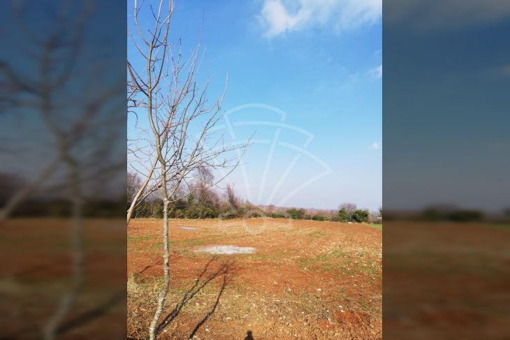 Poljoprivredno zemljište, Prodaja, Vodnjan, Vodnjan Poljoprivredno zemljište, Prodaja, Vodnjan, Vodnjan