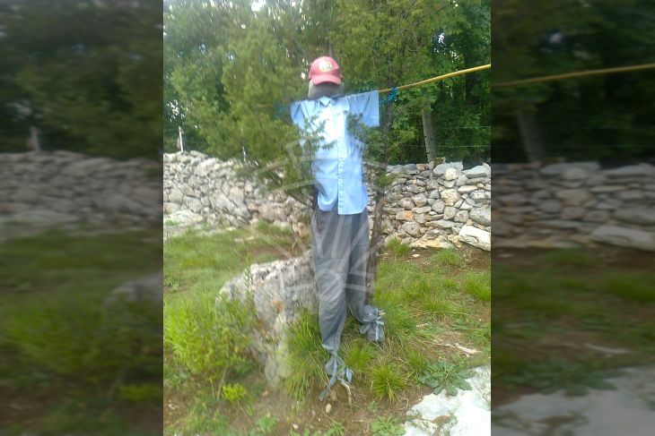 Poljoprivredno zemljište, Prodaja, Matulji, Lipa Poljoprivredno zemljište, Prodaja, Matulji, Lipa