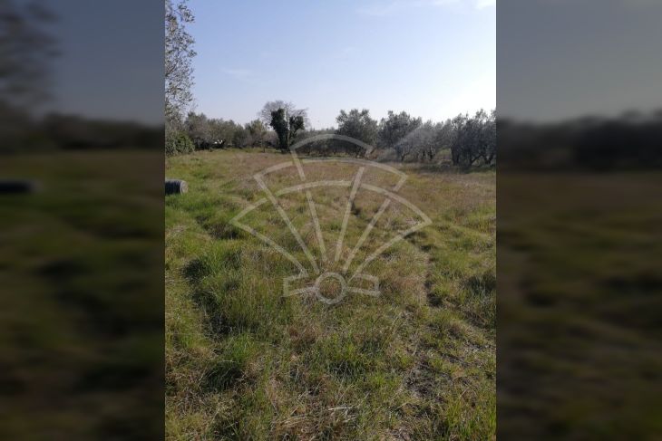 Poljoprivredno zemljište, Prodaja, Fažana, Fažana Poljoprivredno zemljište, Prodaja, Fažana, Fažana