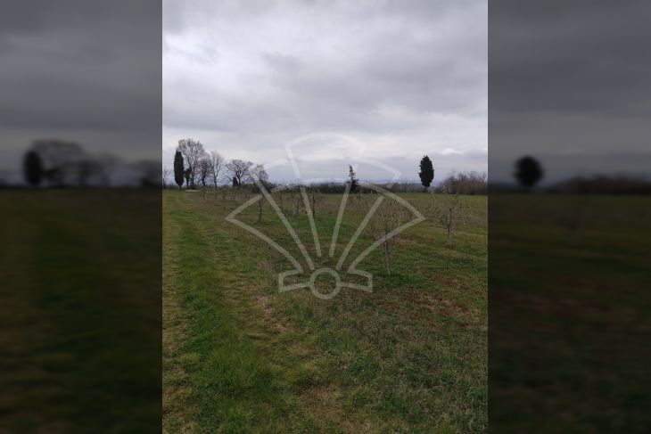 Poljoprivredno zemljište, Prodaja, Barban, Barban Poljoprivredno zemljište, Prodaja, Barban, Barban