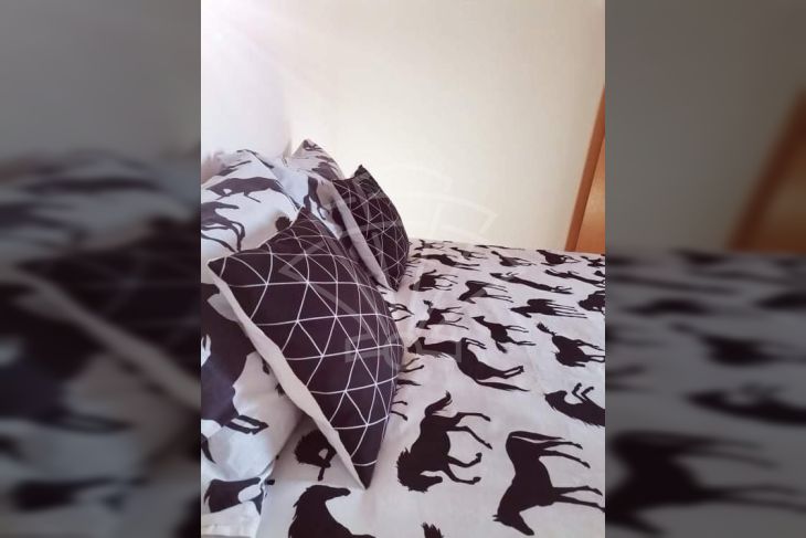 Stan u zgradi, Prodaja, Ližnjan, Ližnjan Stan u zgradi, Prodaja, Ližnjan, Ližnjan