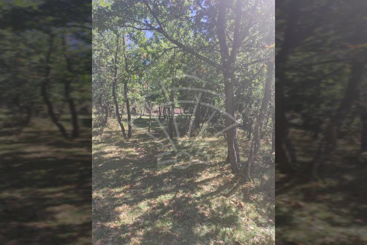 Poljoprivredno zemljište, Prodaja, Vodnjan, Vodnjan Poljoprivredno zemljište, Prodaja, Vodnjan, Vodnjan