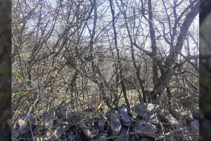 Poljoprivredno zemljište, Prodaja, Vrbnik, Garica Poljoprivredno zemljište, Prodaja, Vrbnik, Garica