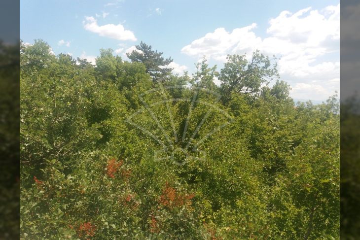 Građevinsko zemljište, Prodaja, Crikvenica, Crikvenica Građevinsko zemljište, Prodaja, Crikvenica, Crikvenica
