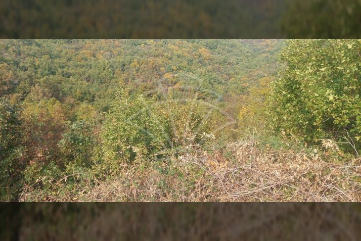Građevinsko zemljište, Prodaja, Kršan, Plomin Građevinsko zemljište, Prodaja, Kršan, Plomin