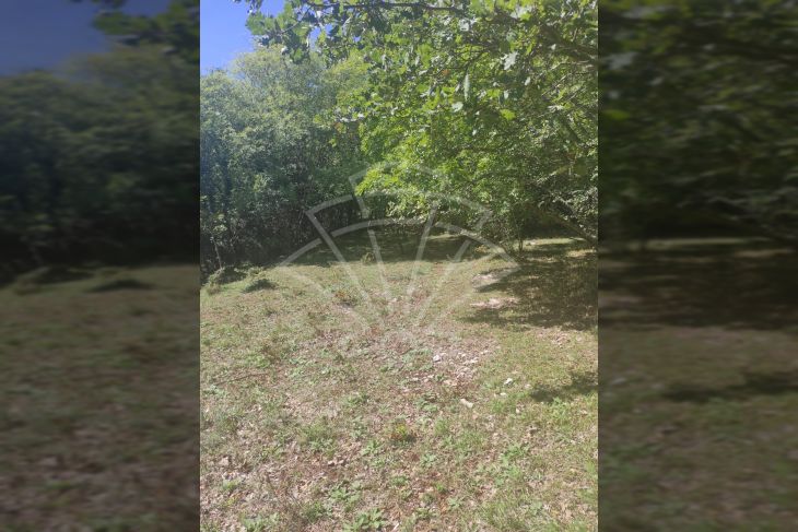 Poljoprivredno zemljište, Prodaja, Vodnjan, Vodnjan Poljoprivredno zemljište, Prodaja, Vodnjan, Vodnjan
