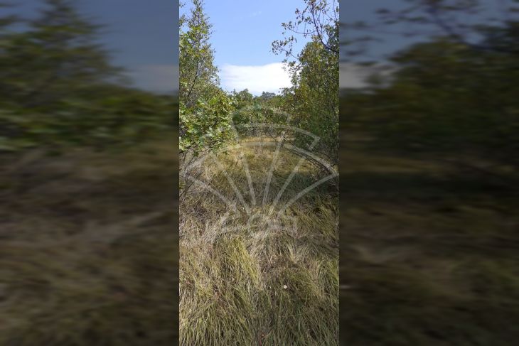 Građevinsko zemljište, Prodaja, Kostrena, Plešići Građevinsko zemljište, Prodaja, Kostrena, Plešići
