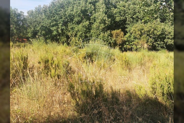 Poljoprivredno zemljište, Prodaja, Marčana, Peruški Poljoprivredno zemljište, Prodaja, Marčana, Peruški