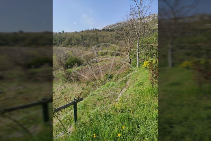 Građevinsko zemljište, Prodaja, Buzet, Sveti Martin Građevinsko zemljište, Prodaja, Buzet, Sveti Martin