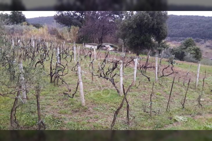Građevinsko zemljište, Prodaja, Rab, Rab Građevinsko zemljište, Prodaja, Rab, Rab