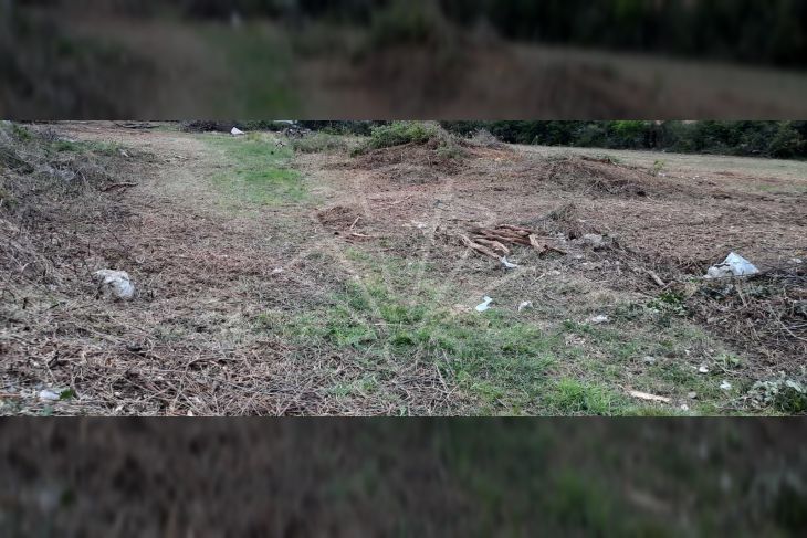 Građevinsko zemljište, Prodaja, Brtonigla, Brtonigla Građevinsko zemljište, Prodaja, Brtonigla, Brtonigla