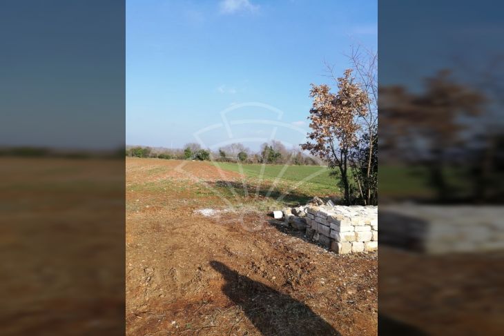 Poljoprivredno zemljište, Prodaja, Vodnjan, Vodnjan Poljoprivredno zemljište, Prodaja, Vodnjan, Vodnjan
