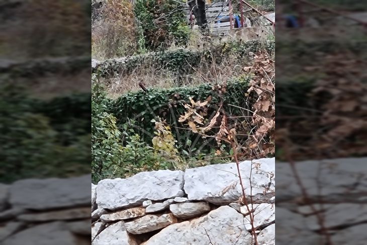 Građevinsko zemljište, Prodaja, Opatija - Okolica, Poljane Građevinsko zemljište, Prodaja, Opatija - Okolica, Poljane