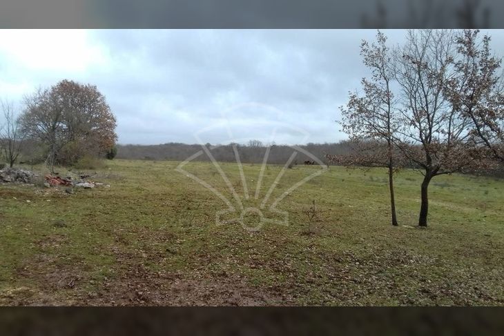 Poljoprivredno zemljište, Prodaja, Kanfanar, Šorići Poljoprivredno zemljište, Prodaja, Kanfanar, Šorići