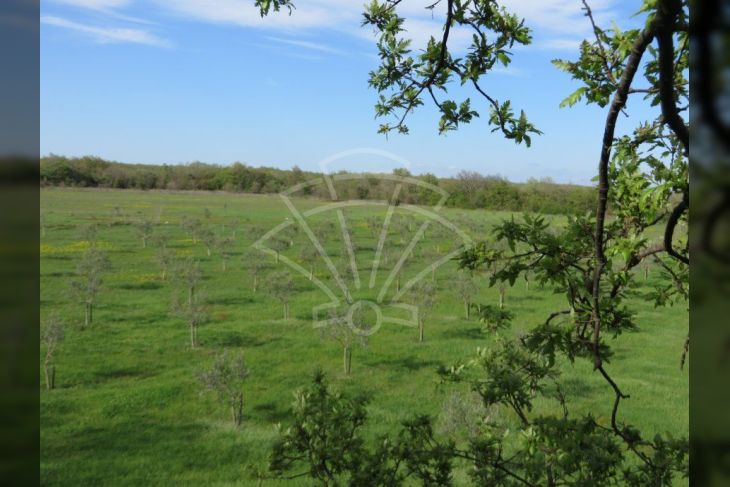 Zemljište - ostalo, Prodaja, Marčana, Marčana Zemljište - ostalo, Prodaja, Marčana, Marčana
